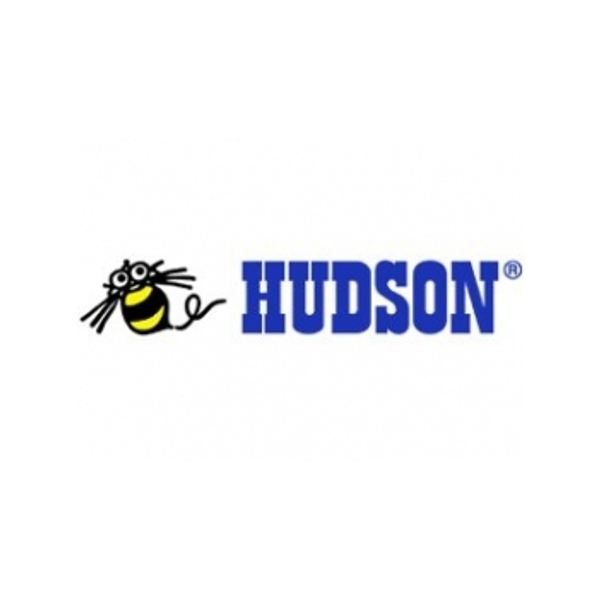 hudson_soft